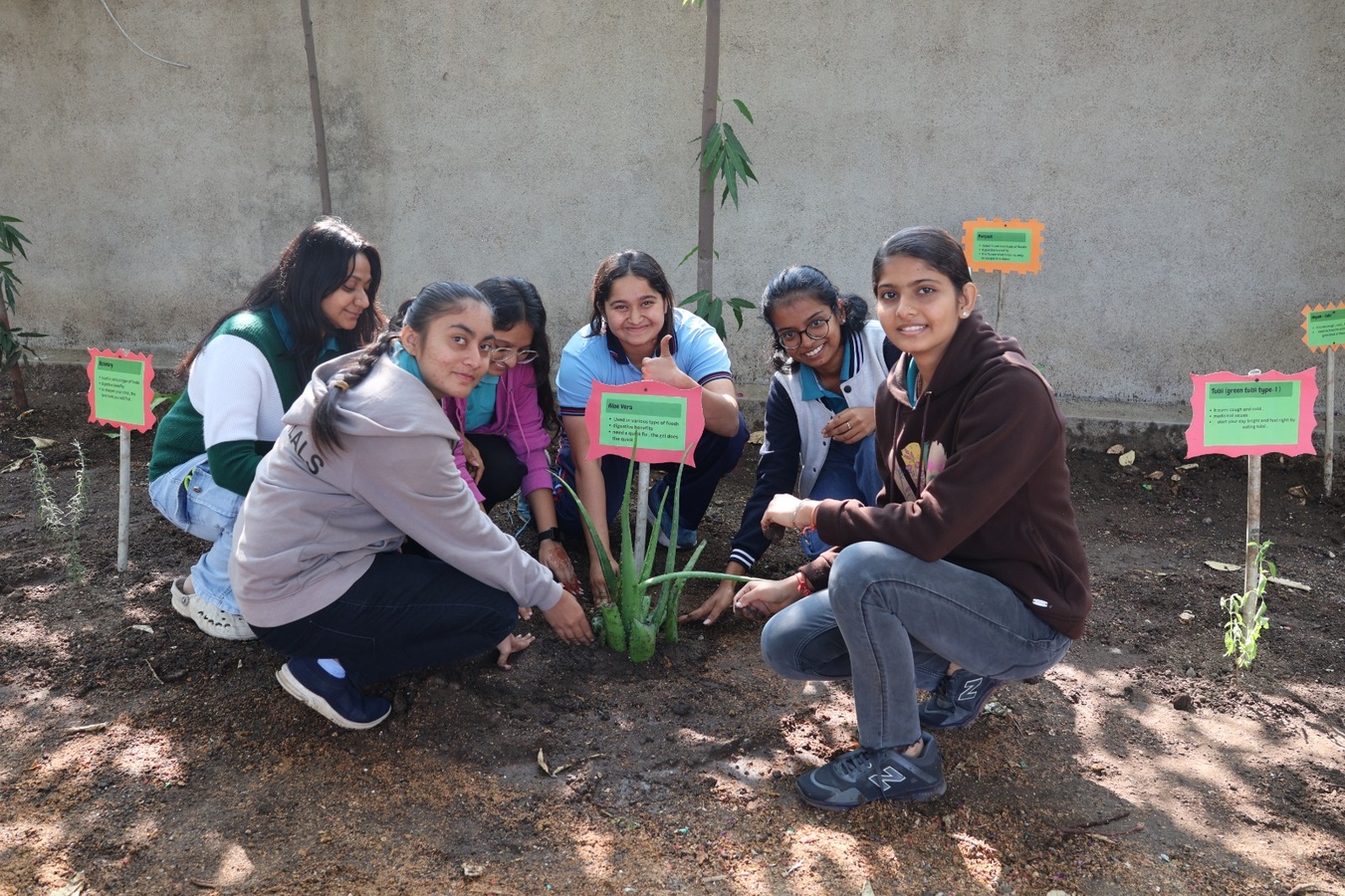 Photos of Herbal Plantation for Sustainable Campus